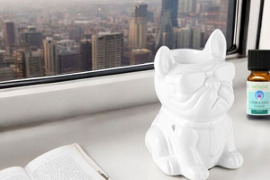 brule parfum boubou chien blanc